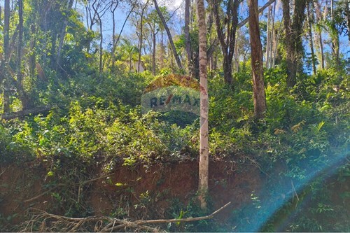 Venda-Terreno-Rua Elvira Rodriguez Bolivar , 000  - Prfoximo a cachoeira  - Terra Preta , Mairiporã , São Paulo , 07663365-631361059-12