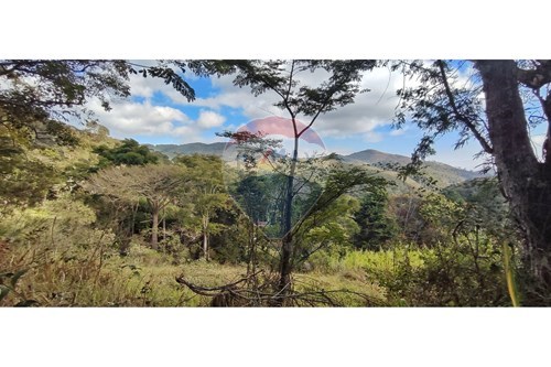 Venda-Terreno-Rua F, Vale das Videiras , 1068-1067  - Região Próximo ao Catete  - Araras , Petrópolis , Rio de Janeiro , 25725000-630131061-30