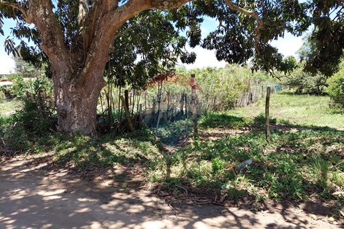 Slider Image Thumbnail