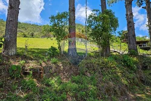 Venda-Terreno-JUAREZ FROTTE, , 540  - CASCATINHA  - Cascatinha , Nova Friburgo , Rio de Janeiro , 28621595-630551024-83