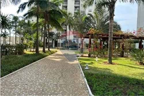 Alugar-Apartamento-Jardim das Colinas , São José dos Campos , São Paulo , 12242840-631631009-65