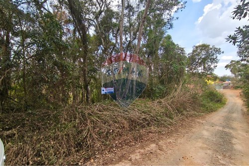 Venda-Terreno-Mato Dentro , Mairiporã , São Paulo , 07658480-631361059-10