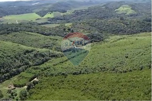 Venda-Chácara / Sítio / Fazenda-Centro , Ribeirão Branco , São Paulo , 18430000-630541038-45