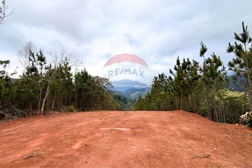 Venda-Terreno-Araras , Petrópolis , Rio de Janeiro , 25725454-631611002-13