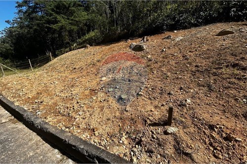 Venda-Terreno-Duarte Silveira , Petrópolis , Rio de Janeiro , 25665442-630131094-1