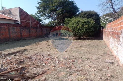 Venda-Terreno-Rua Rui Barbosa , 150  - Próximo à Padaria Bassan  - Ribeiro , Lins , São Paulo , 16401040-630511048-20