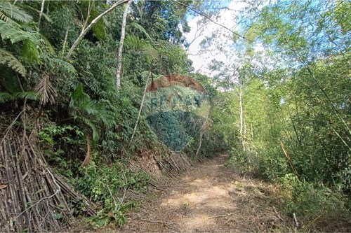 Venda-Terreno-rod. Dr. Rogerio Moura Estevão, KM 8 , fração 46  - Floresta das Canoas  - Albuquerque , Teresópolis , Rio de Janeiro , 25977400-630191109-22