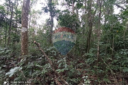 Venda-Terreno-Centro , Mairiporã , São Paulo , 07612780-631361025-37