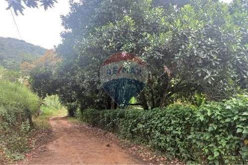 Venda-Chácara / Sítio / Fazenda-Sítio Samambaia , S/N  - Barroso  - Amparo , Nova Friburgo , Rio de Janeiro , 28.605-970-630551037-28