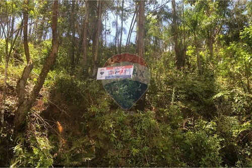 Venda-Terreno-Terra Preta , Mairiporã , São Paulo , 07663-170-631361059-15