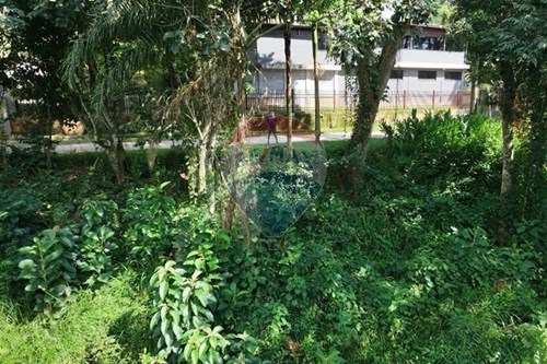 Venda-Terreno-Pirucaia , Mairiporã , São Paulo , 07636365-631361077-12