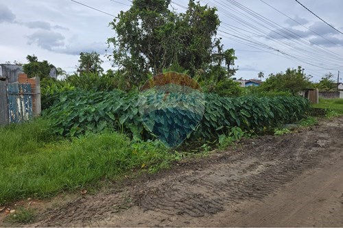 Venda-Terreno-Rua: Maria de Lourdes Fernandes Guedes , 0  - Boracéia , Bertioga , São Paulo , 11271-125-631461002-59