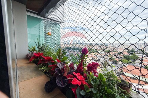 Slider Image Thumbnail