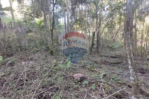 Venda-Terreno-Lavras , Mairiporã , São Paulo , 07634095-631361025-5