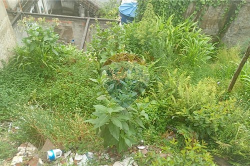 Slider Image Thumbnail