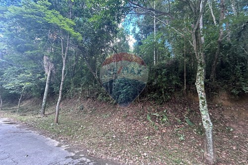 Venda-Terreno-Rio Abaixo , Mairiporã , São Paulo , 07606185-631361005-193