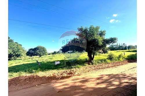 For Sale-Farm-Estrada Tupã 440 , s/n  - AEROPORTO , Tupã , São Paulo , 17626-899-630151002-63