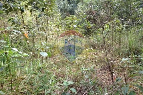 Venda-Terreno-Samambaia , Mairiporã , São Paulo , 07623225-631361007-195