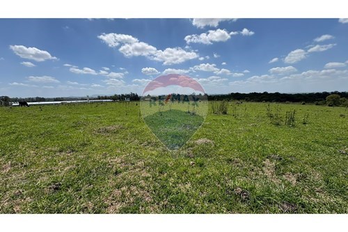 Venda-Chácara / Sítio / Fazenda-Centro , Porangaba , São Paulo , 18260000-630481027-140