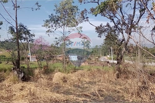 Venda-Terreno-Alpes Paulista (Mailasqui) , São Roque , São Paulo , 18143457-631601004-111