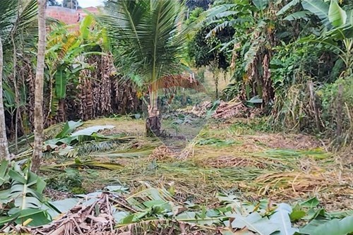 Slider Panorama Image Thumbnail