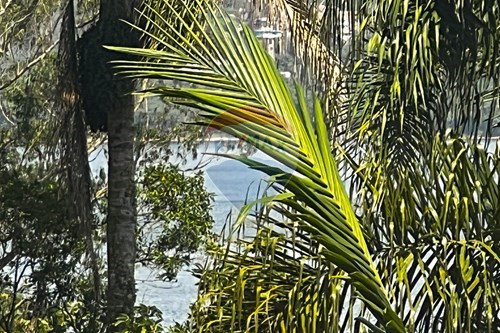 Slider Image Thumbnail