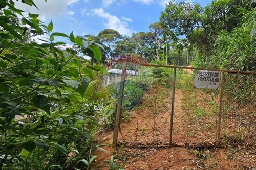 Venda-Terreno-Rua Avelino Machado Bastos,Prata , 053  - Depois do Vale da Lua  - Prata , Teresópolis , Rio de Janeiro , 25976120-630191101-10
