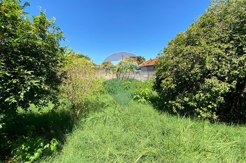 Venda-Terreno-Rua Emilio Ruiz , lote 27  - Jardim Jaçanã , Tupã , São Paulo , 17603572-630151076-10