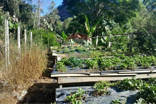 Slider Image Thumbnail