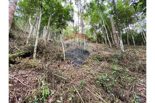 Venda-Terreno-Parque Dom João VI , Nova Friburgo , Rio de Janeiro , 28616135-630551061-6