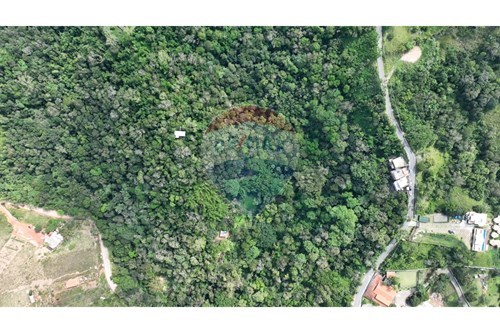 Venda-Terreno-Piúva , Ilhabela , São Paulo , 11630000-690881044-5