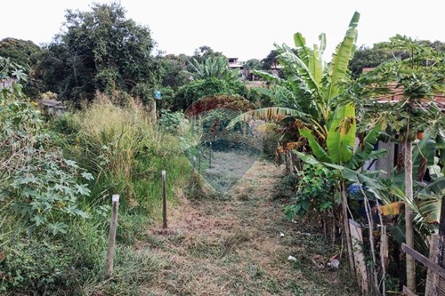 Slider Panorama Image Thumbnail