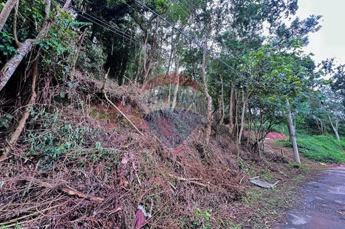 Venda-Terreno-Rua Luiz Reis , 0  - Em frente a casa número 26  - Pilar Velho , Ribeirão Pires , São Paulo , 09433260-631371054-1