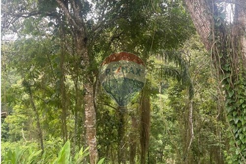 Venda-Terreno-Pirucaia , Mairiporã , São Paulo , 07636365-631361077-12