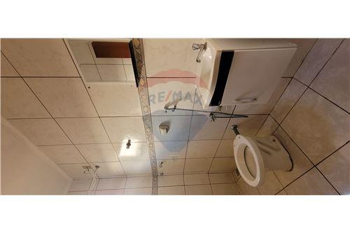 Casa - Alugar - Birigui , São Paulo - 14 - 630851019-107