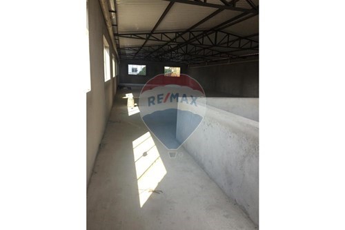 Alugar-Cj. Comercial/ Sala-Matriz , Mauá , São Paulo , 09370670-630751019-19