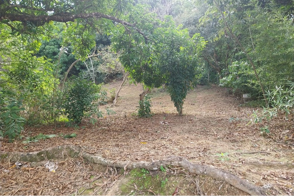 Terreno à venda, 2803m² - Foto 13