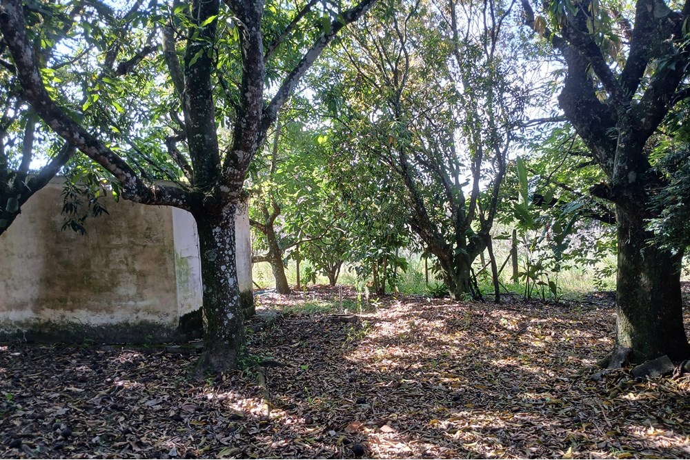 Chácara à venda com 1 quarto, 103m² - Foto 33