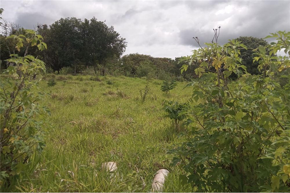 Terreno à venda, 2000m² - Foto 2