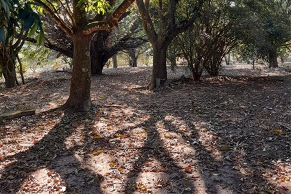 Terreno à venda, 1400m² - Foto 2