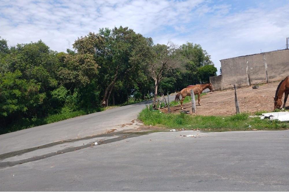 Terreno à venda, 144m² - Foto 30