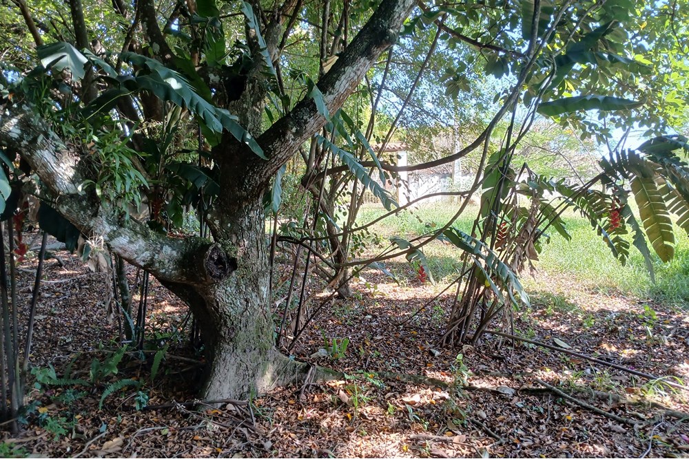 Chácara à venda com 1 quarto, 103m² - Foto 39