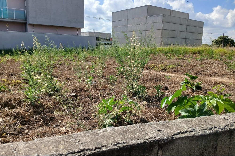 Terreno à venda, 260m² - Foto 5