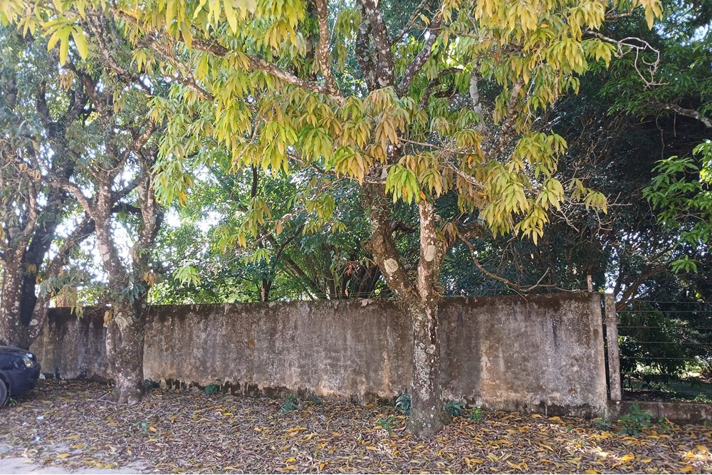 Chácara à venda com 1 quarto, 103m² - Foto 43
