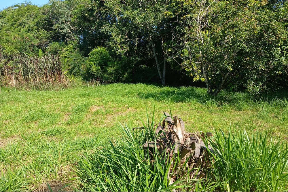 Terreno à venda, 1384m² - Foto 26