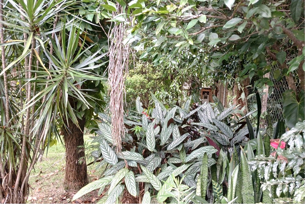 Terreno à venda, 1518m² - Foto 16