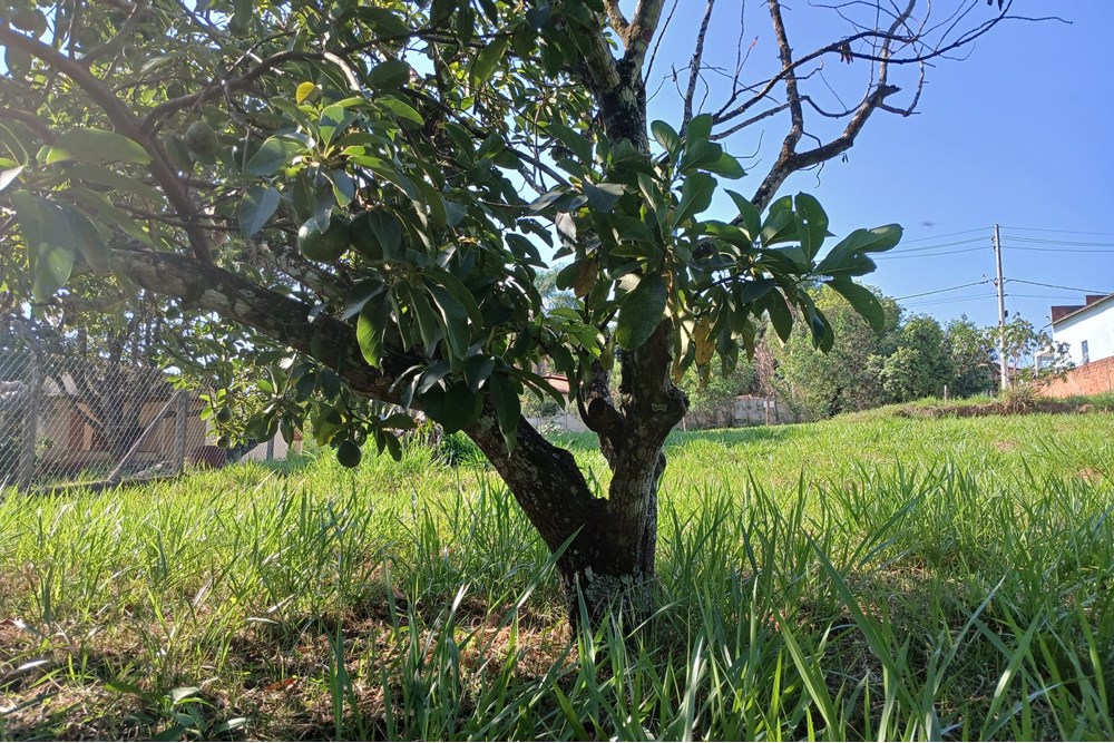 Terreno à venda, 1384m² - Foto 18
