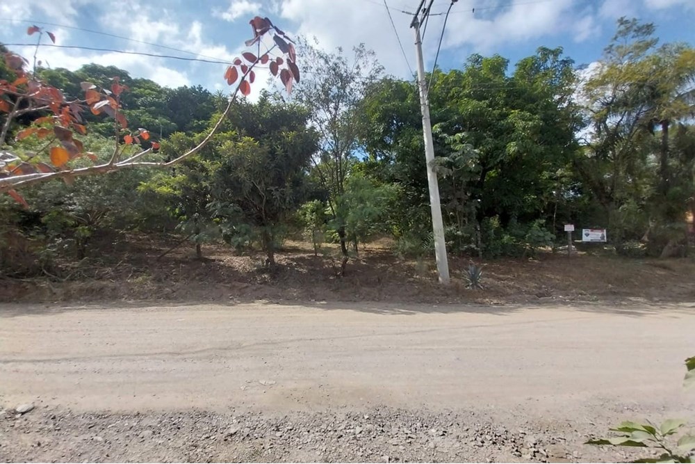 Terreno à venda, 2803m² - Foto 2