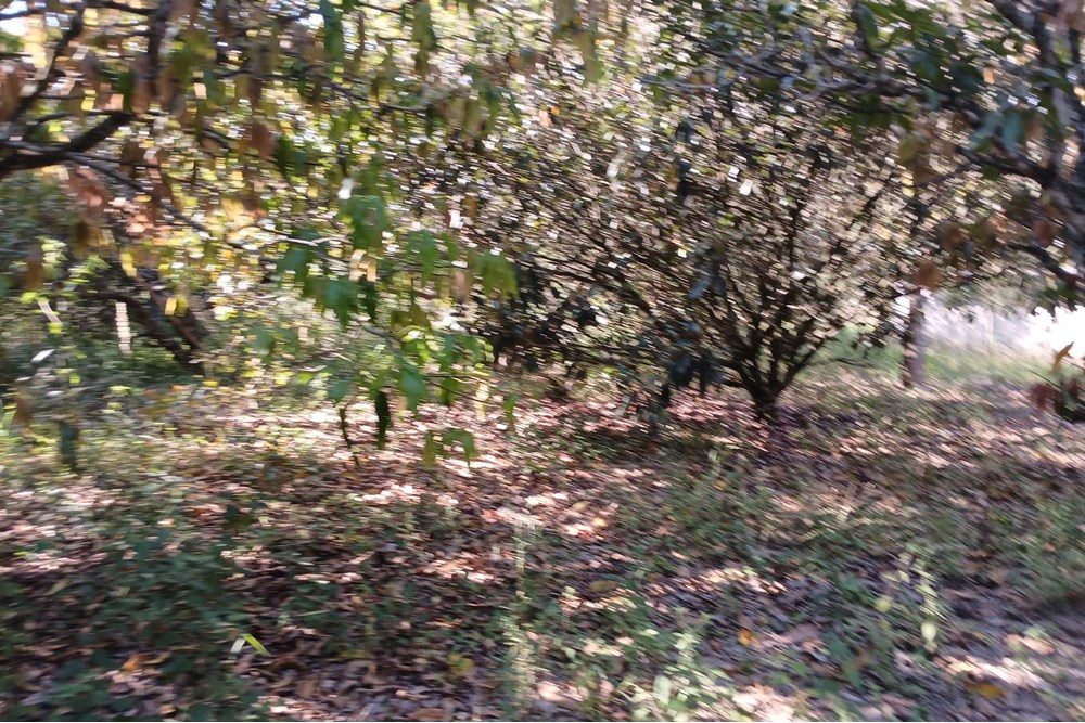 Terreno à venda, 1400m² - Foto 13