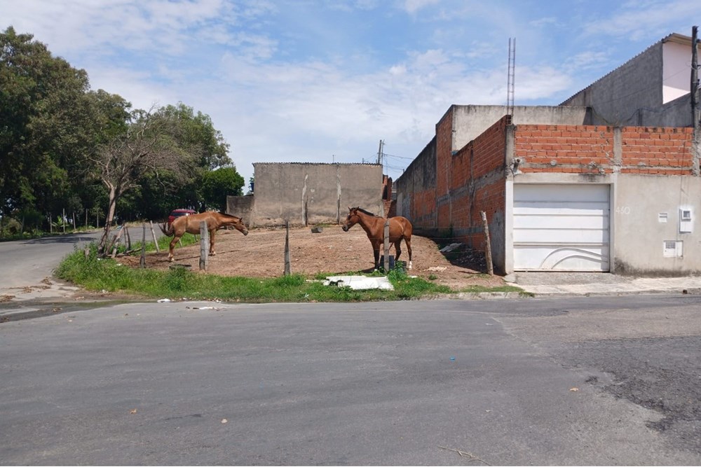 Terreno à venda, 144m² - Foto 9